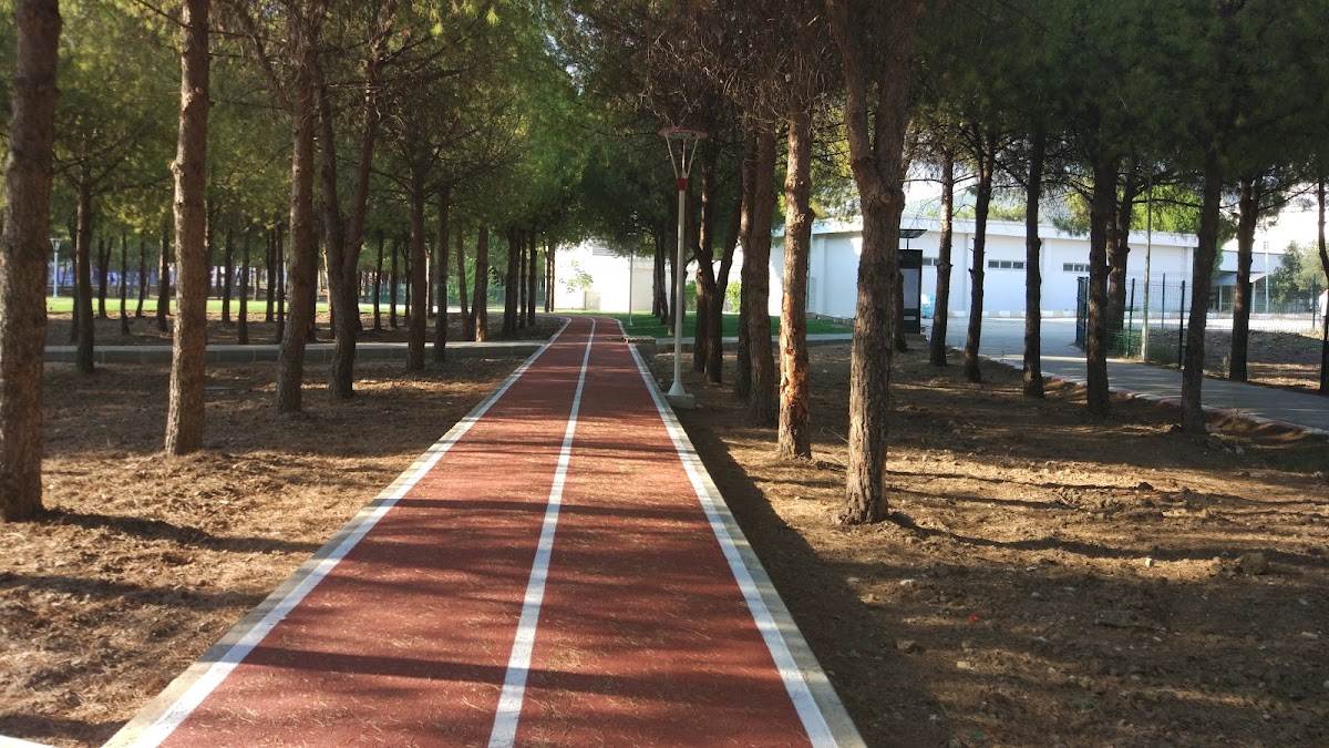 Ege University photo 1