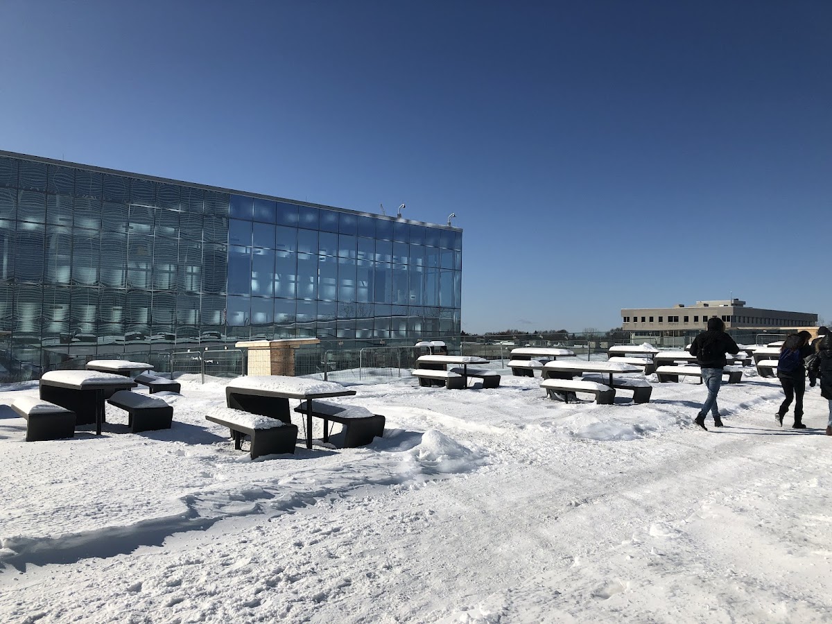 Collège Outremont photo 6