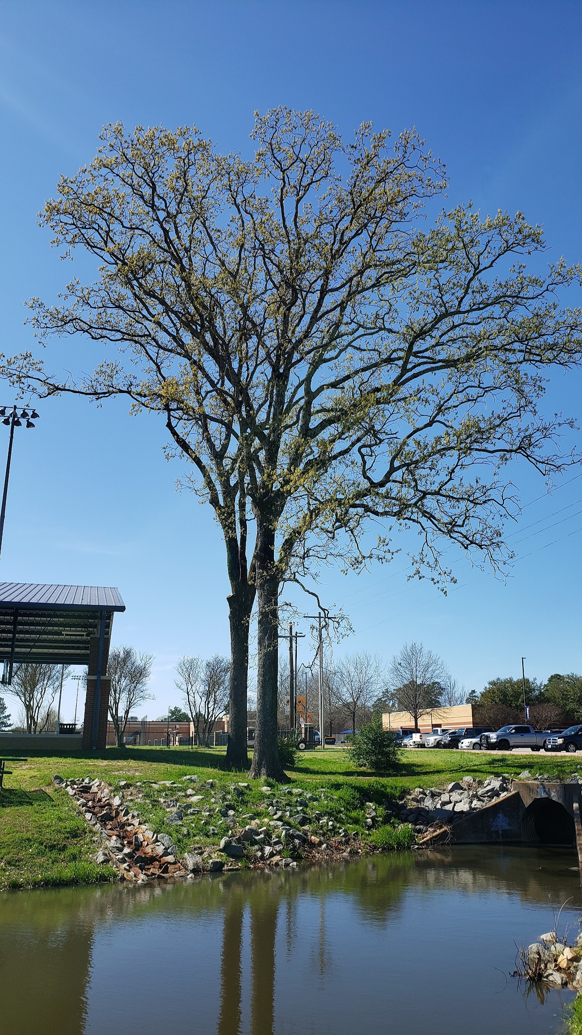 LeTourneau University photo 9