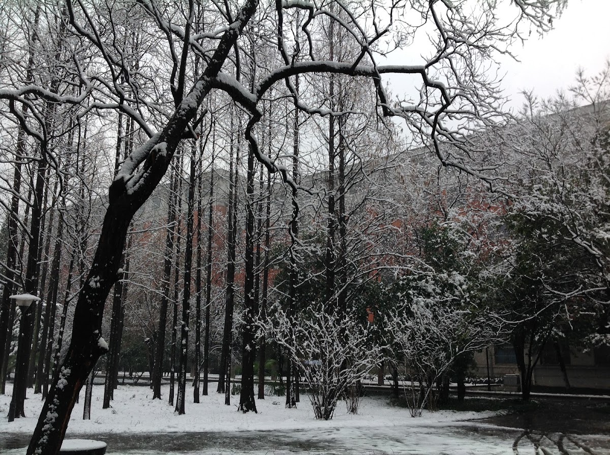 Hefei University of Technology photo 4