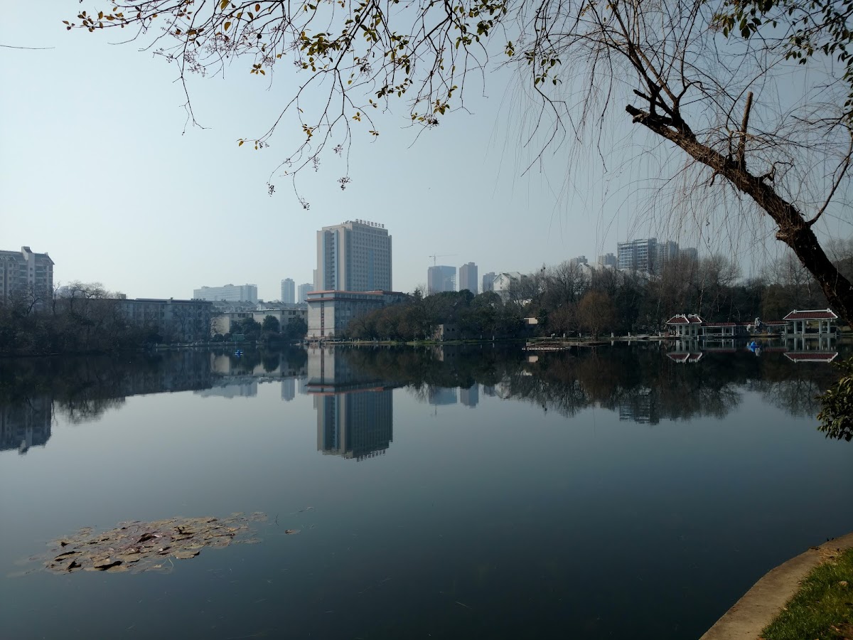 Hefei University of Technology photo 5