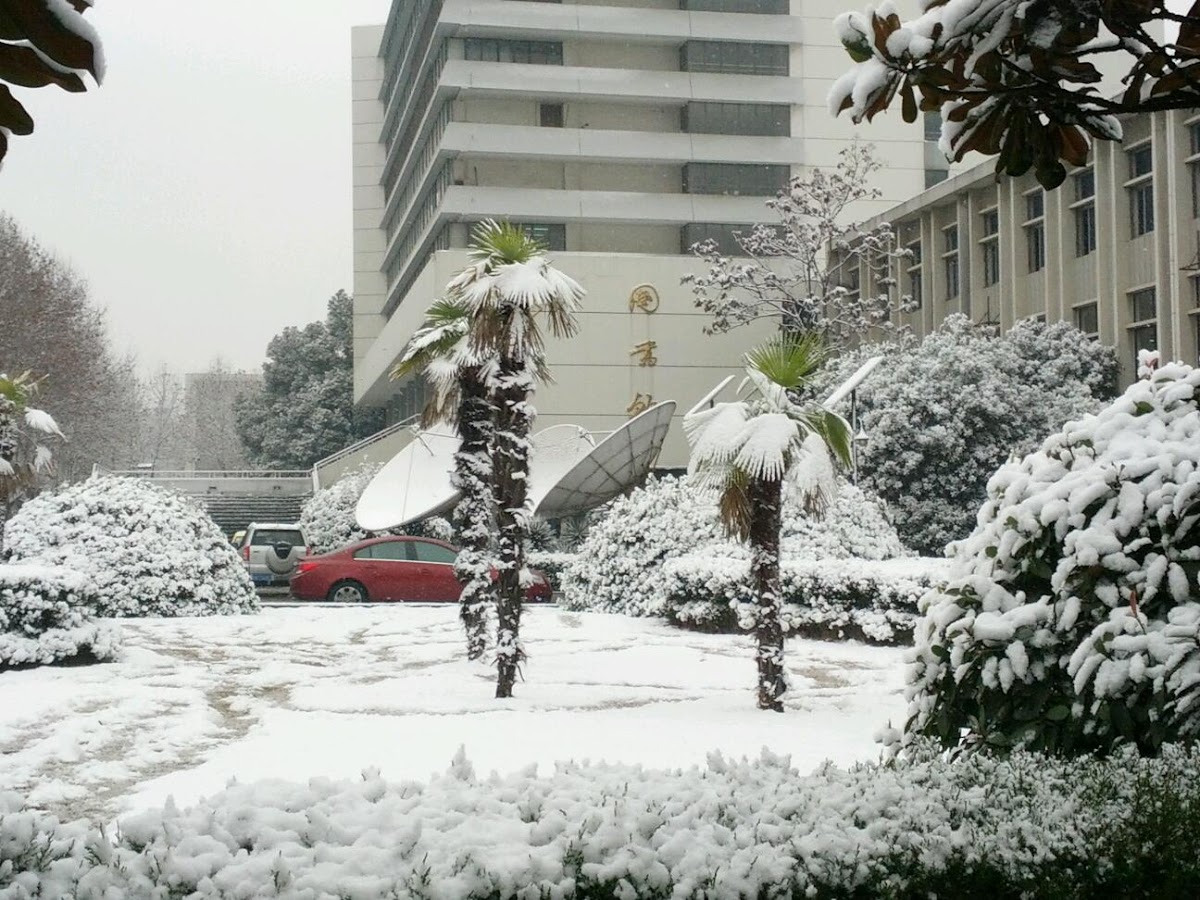 Hefei University of Technology photo 6