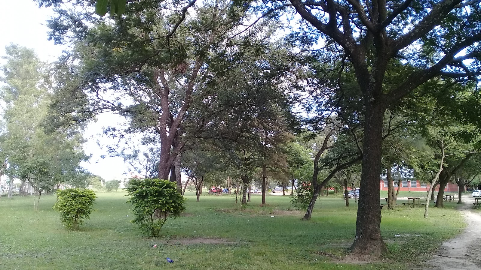 National University of Formosa