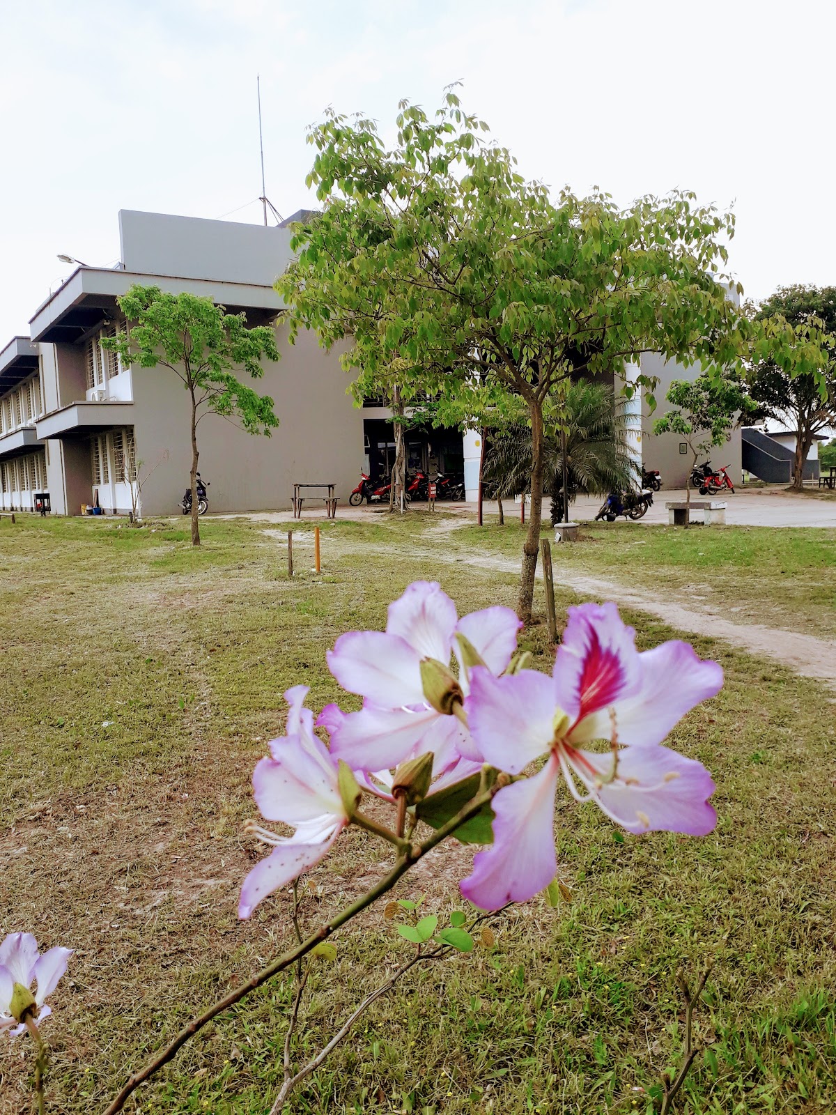 National University of Formosa photo 8