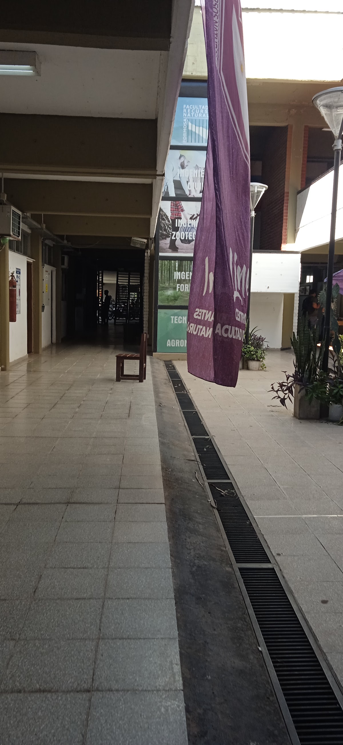 National University of Formosa photo 9