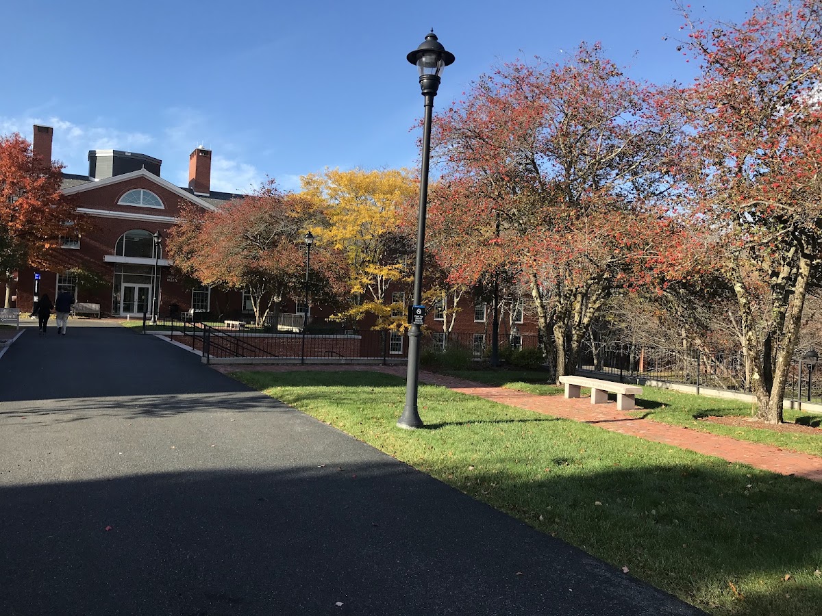 Bentley University photo 7