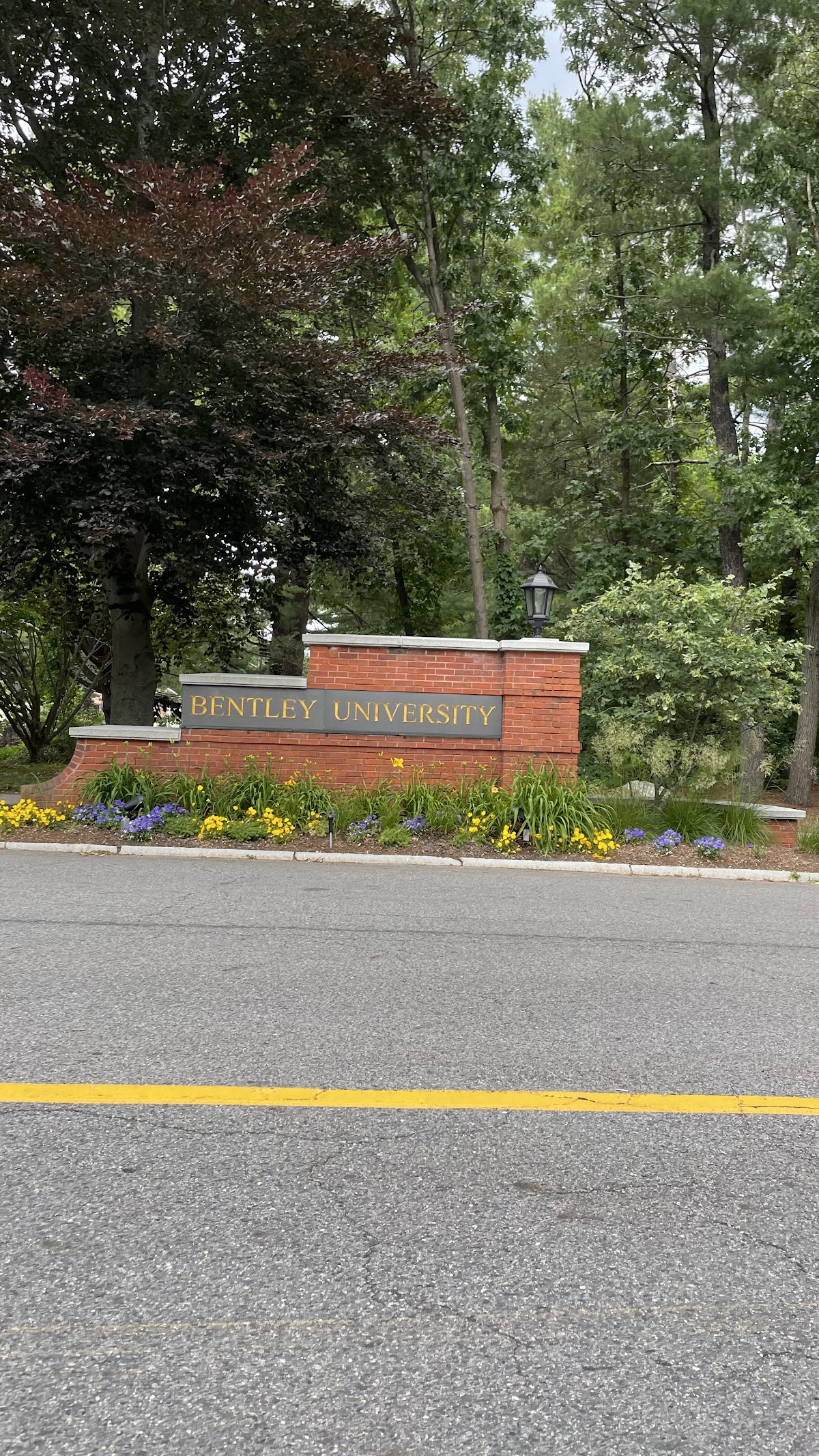 Bentley University photo 9