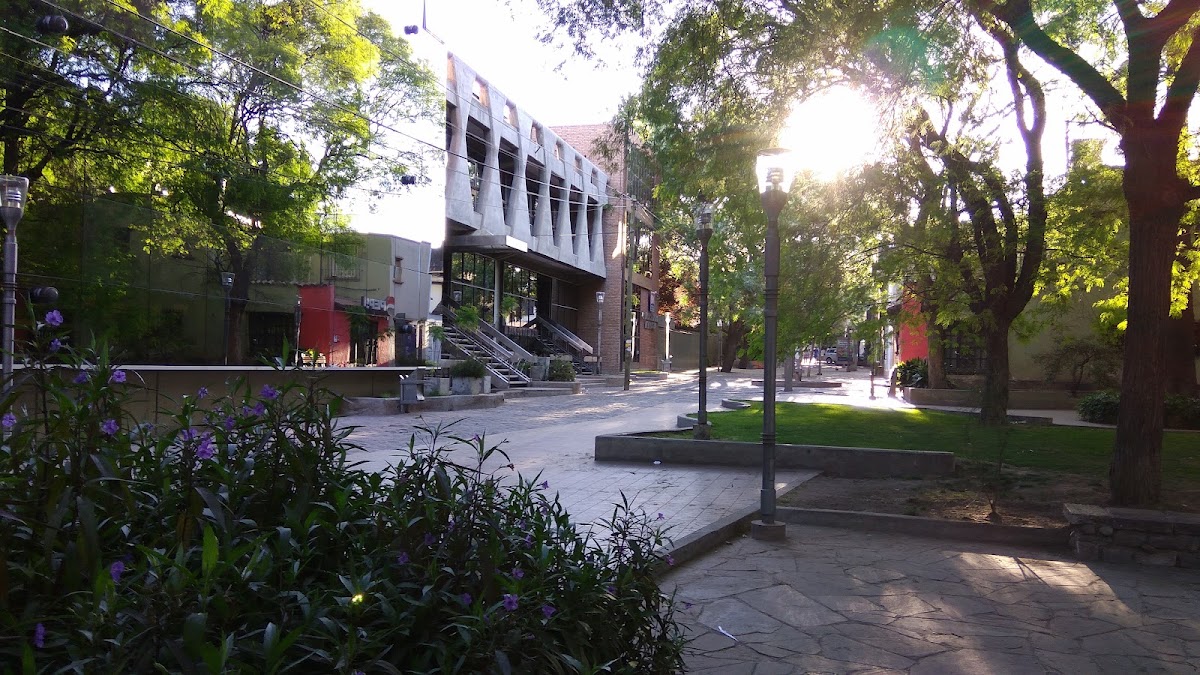 Universidad de Mendoza photo 1
