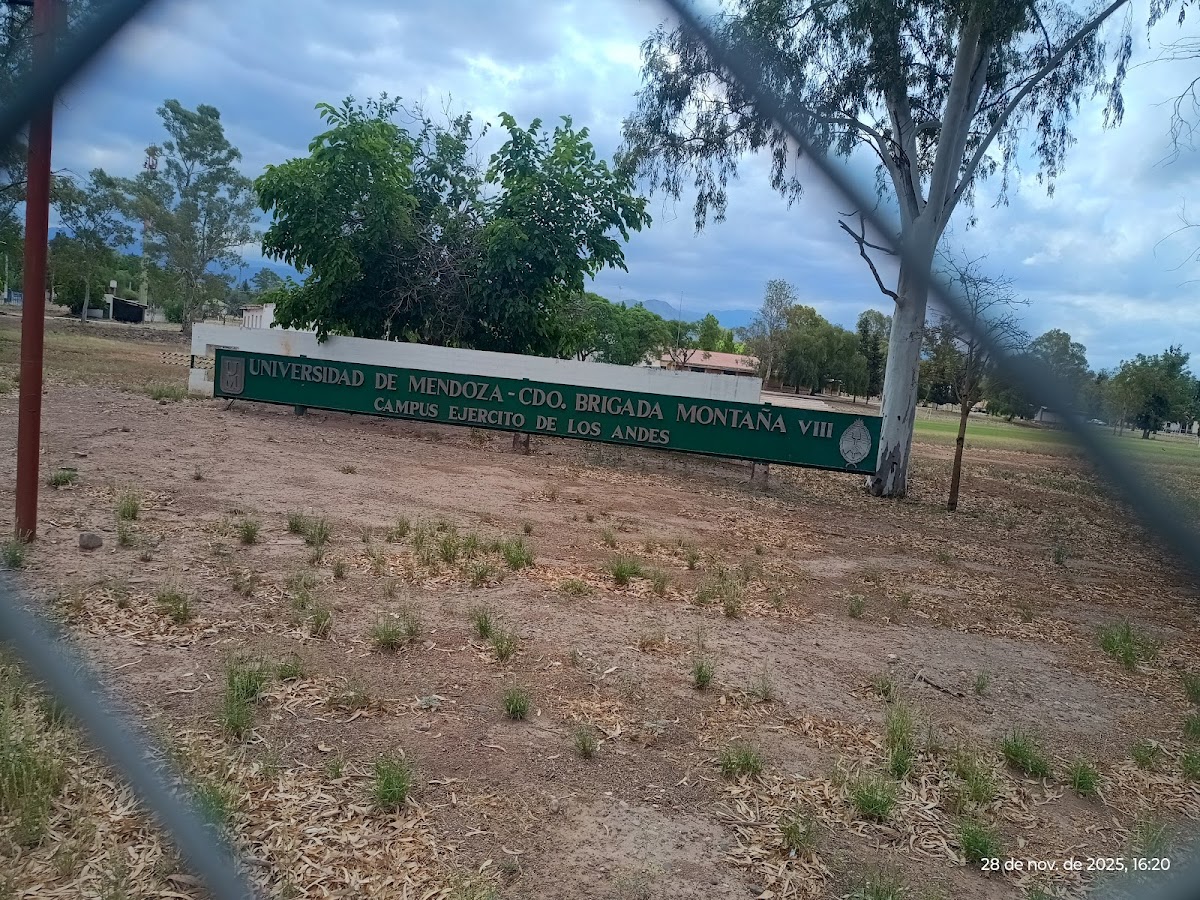 Universidad de Mendoza photo 6