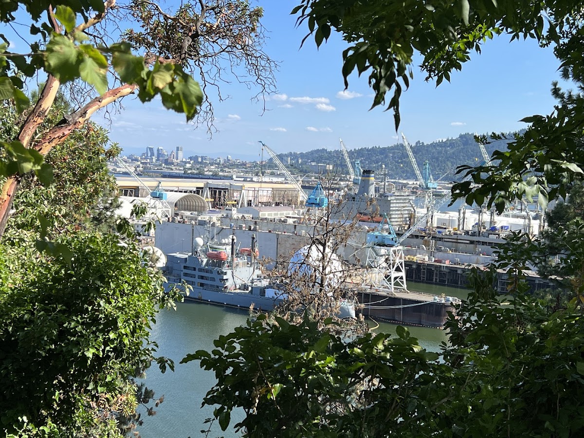 University of Portland photo 7