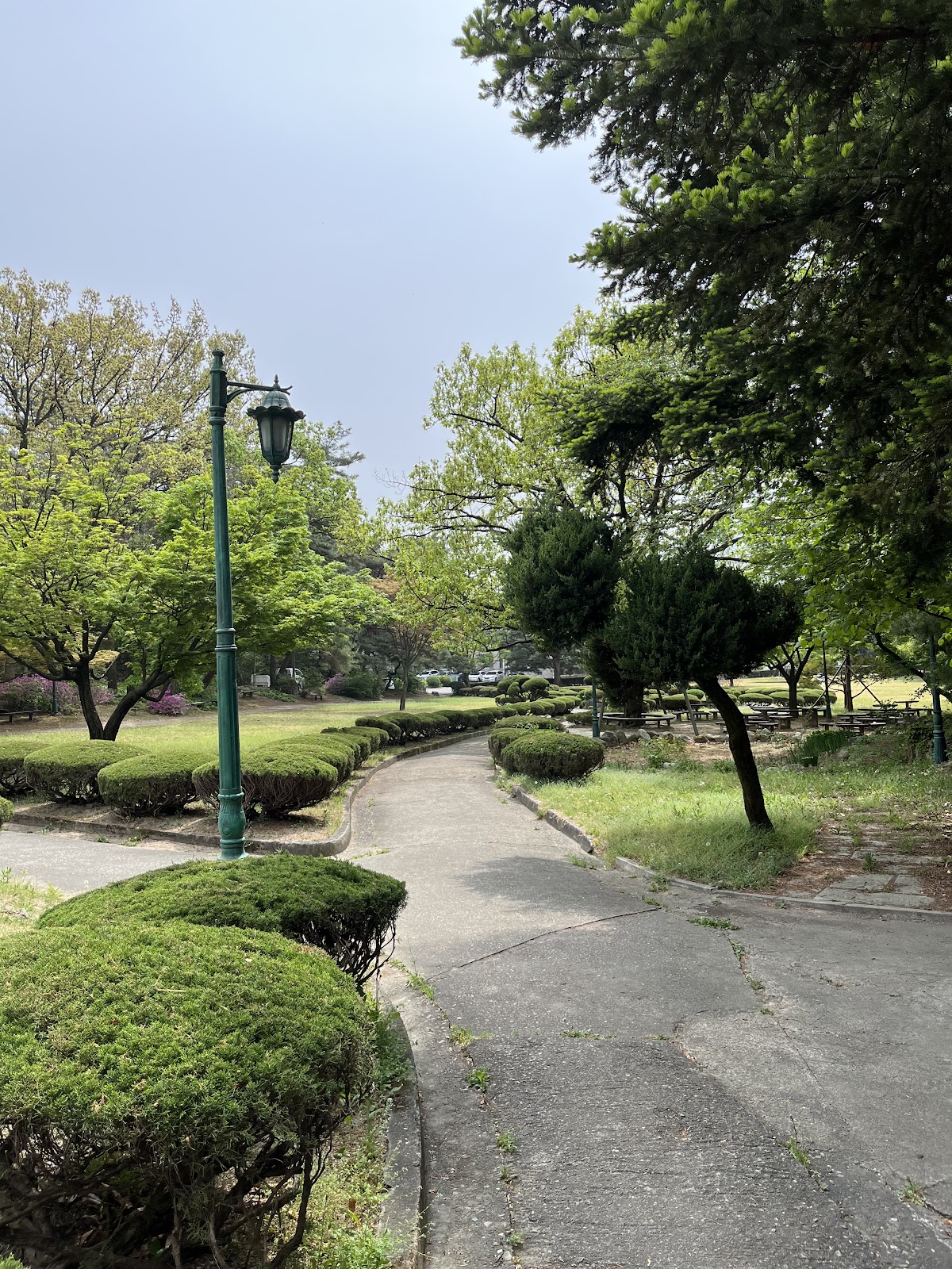 Seoul Women's University photo 8