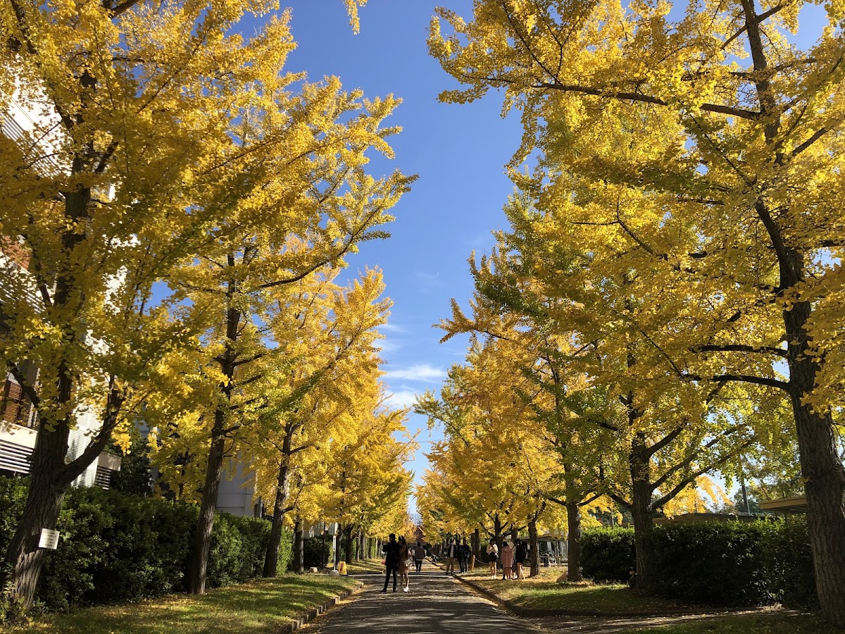 Okayama University photo 1
