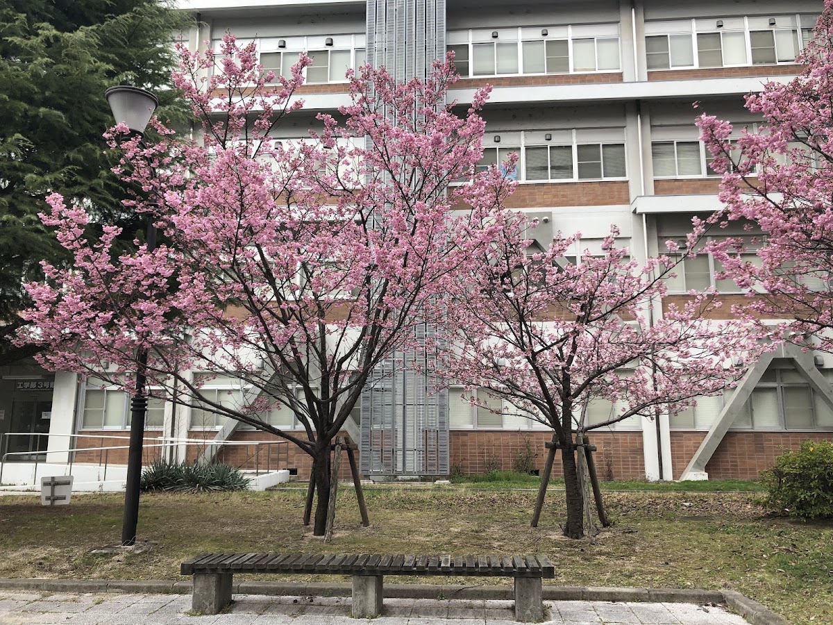 Okayama University photo 8