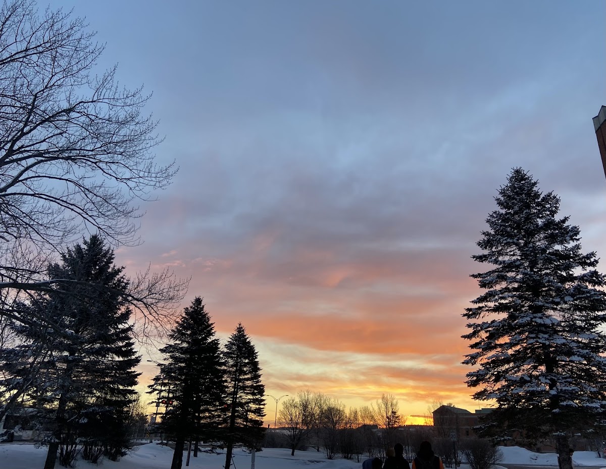 Bishop's University photo 8