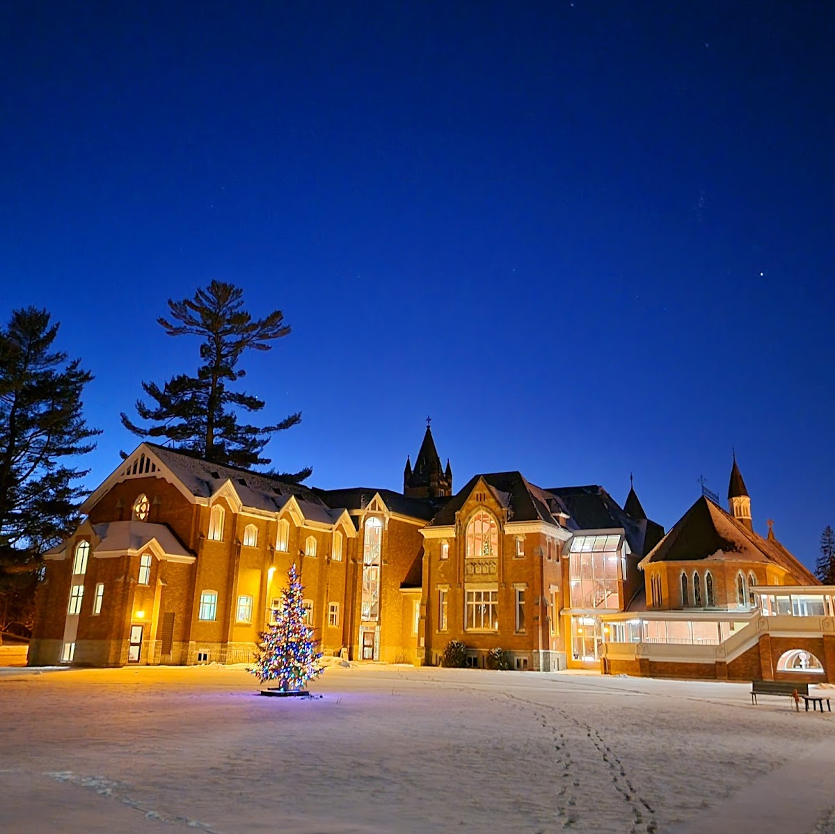 Bishop's University photo 9