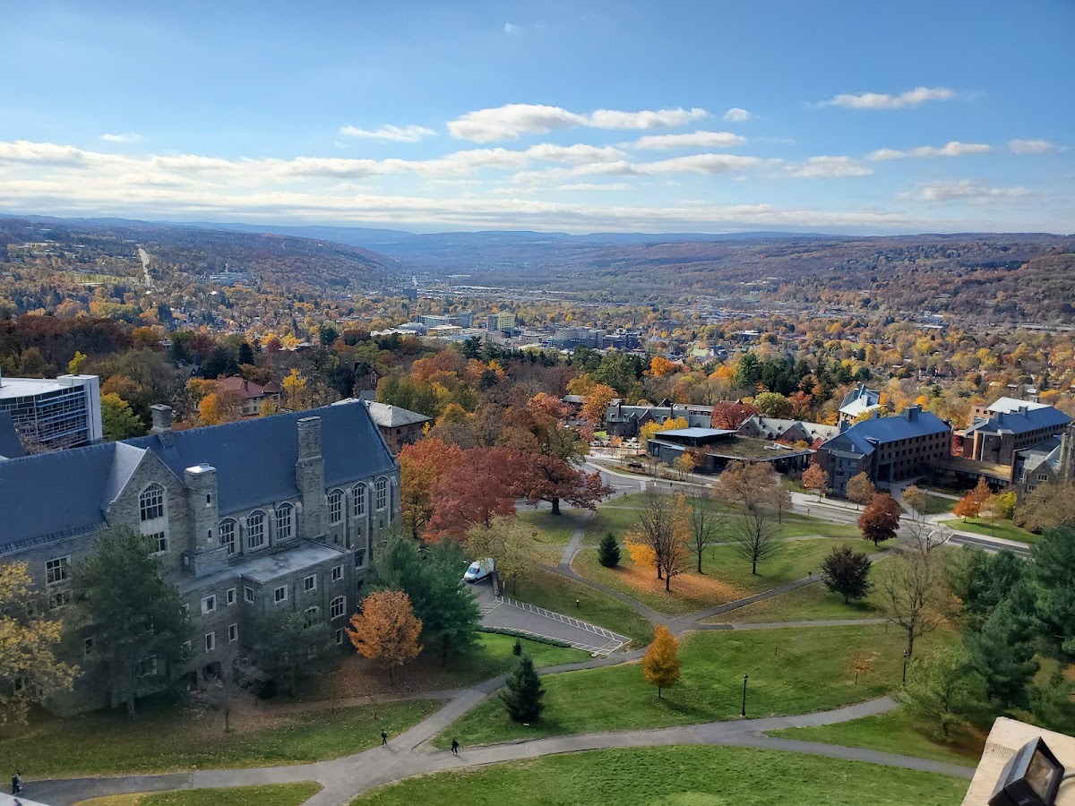 Cornell University photo 7