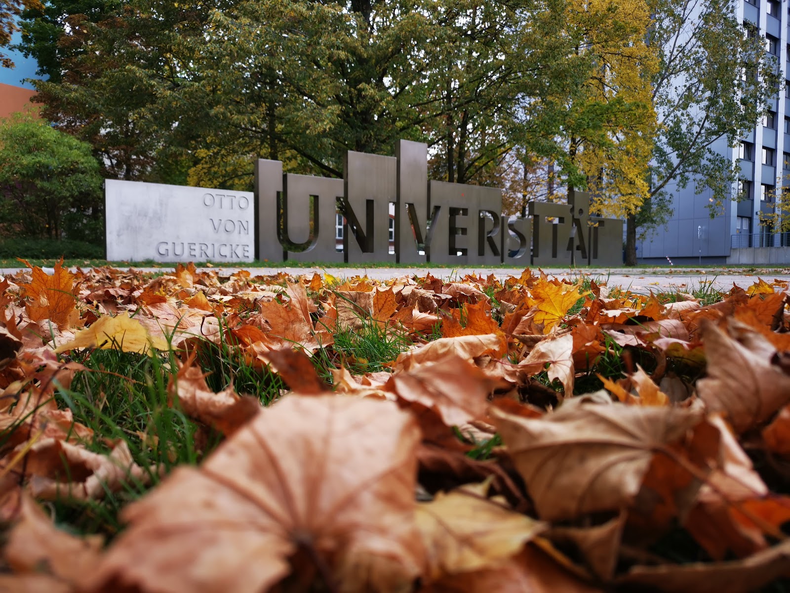 University of Magdeburg