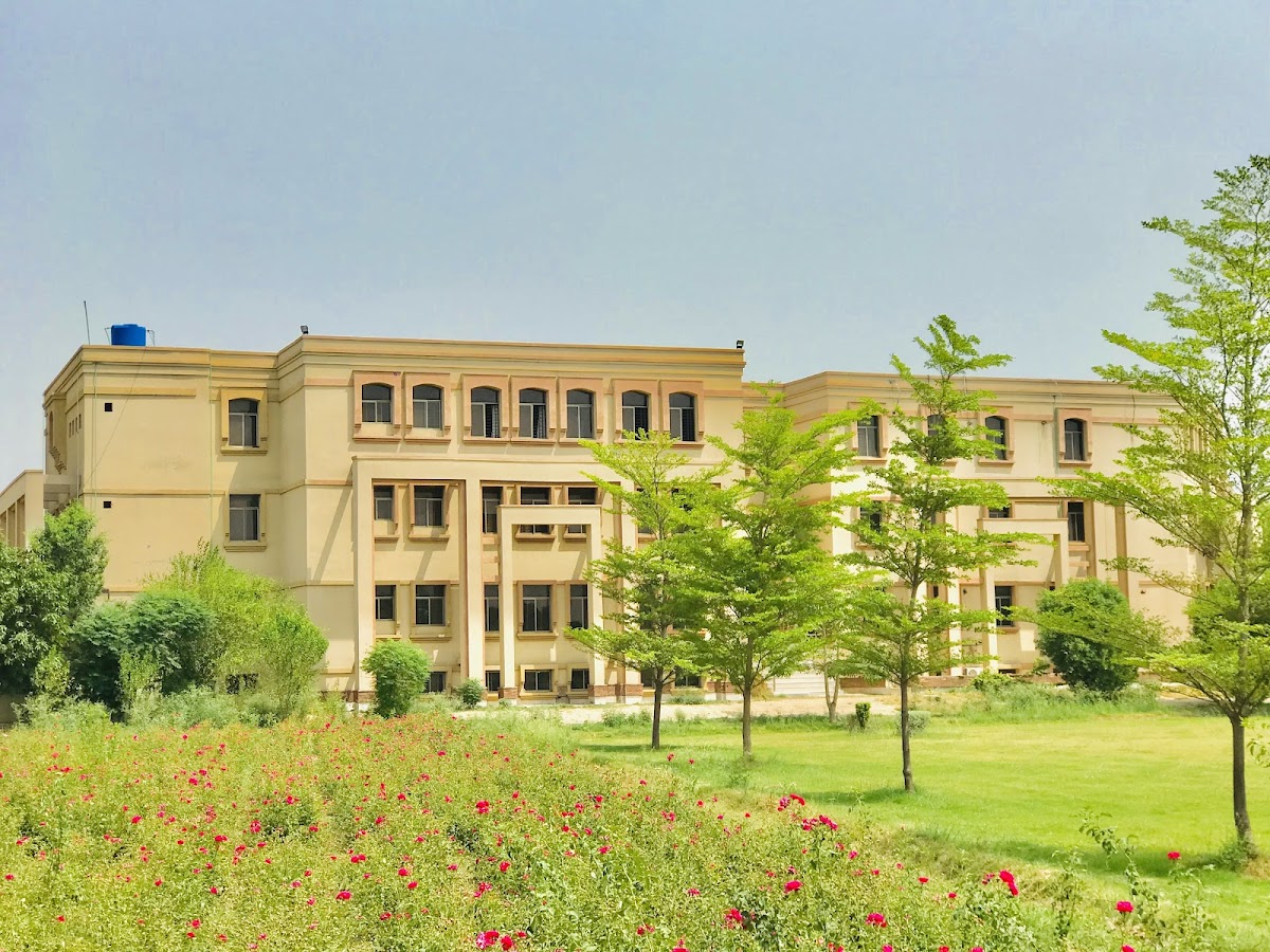 Government College University Faisalabad photo 4