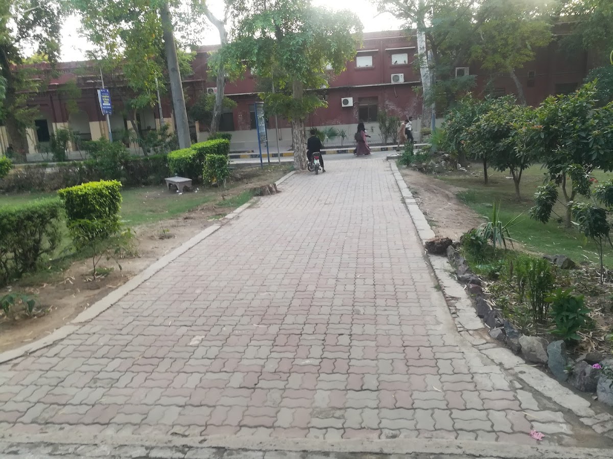 Government College University Faisalabad photo 6