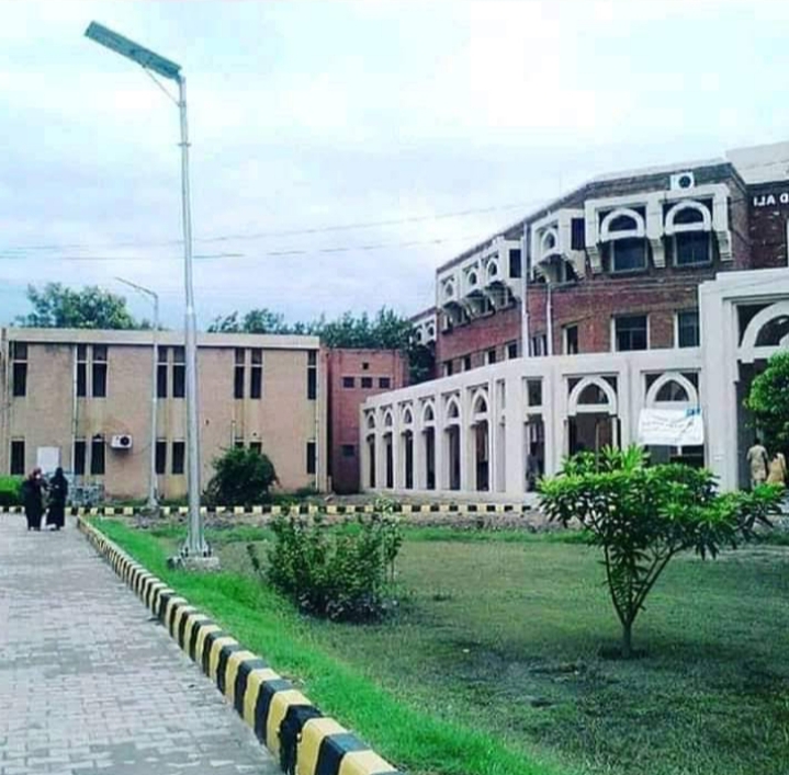 Government College University Faisalabad photo 8