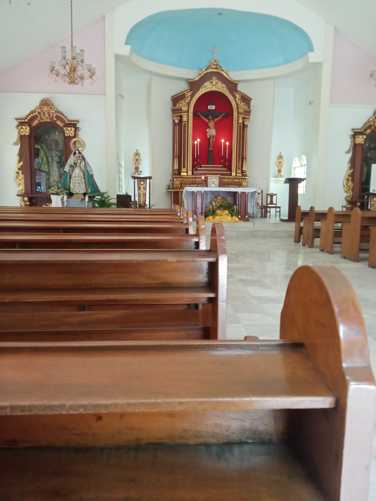 Pamantasan ng Lungsod ng Maynila (University of the City of Manila) photo 9