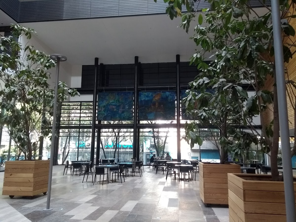 Escuela Bancaria y Comercial photo 8