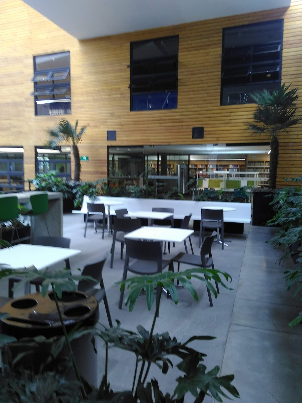 Escuela Bancaria y Comercial photo 9