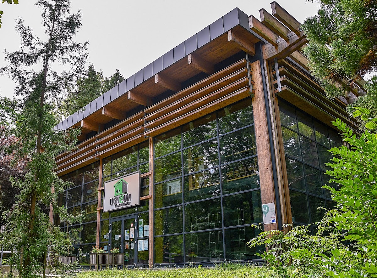 University of West Hungary photo 3