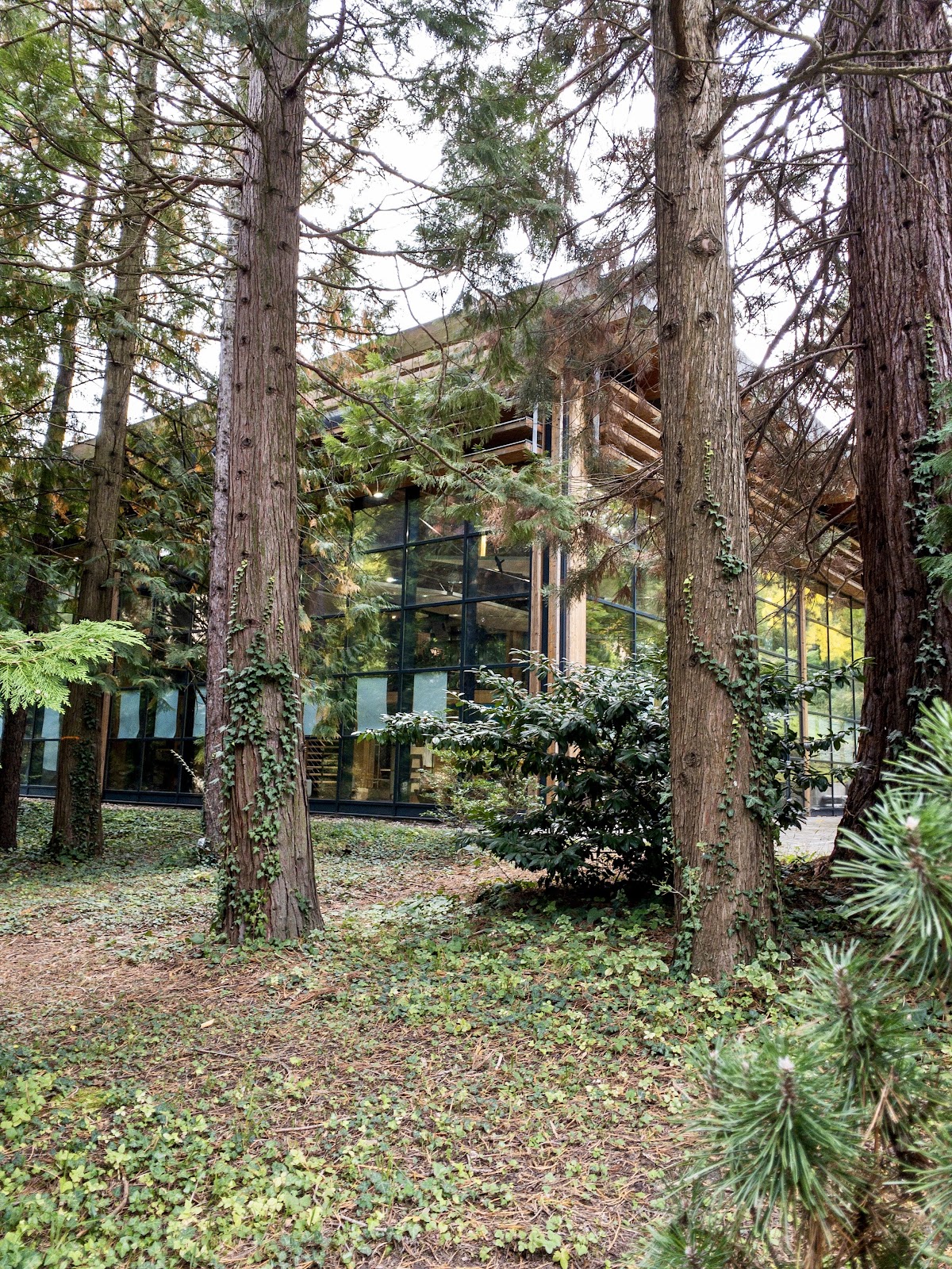 University of West Hungary photo 7