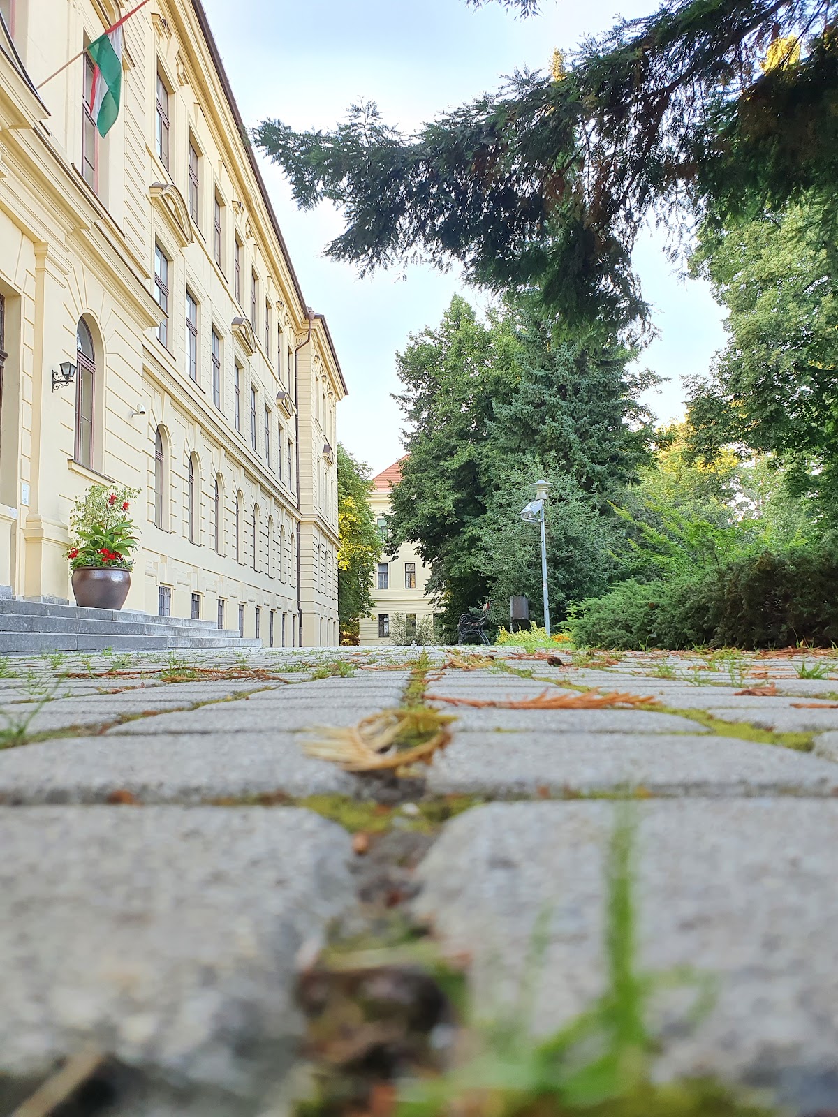 University of West Hungary photo 9