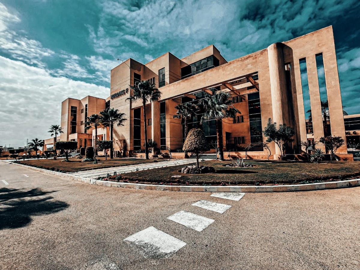Sinai University photo 2