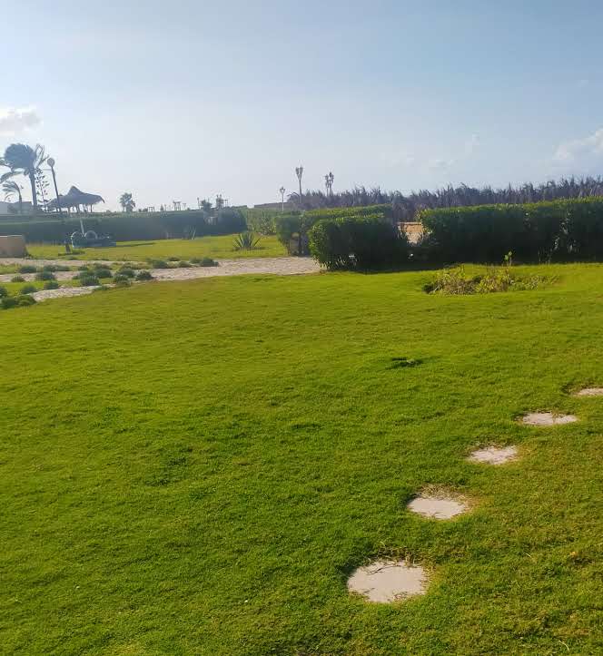 Sinai University photo 6