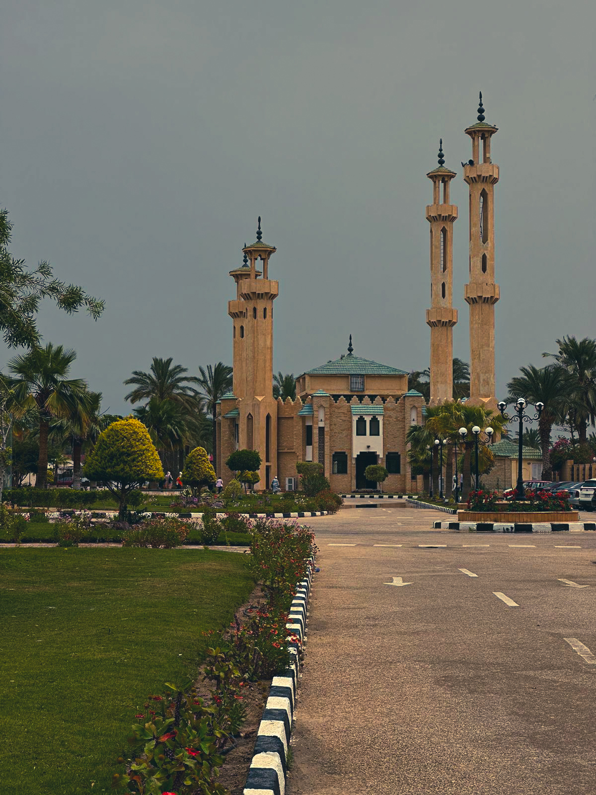 Sinai University photo 7