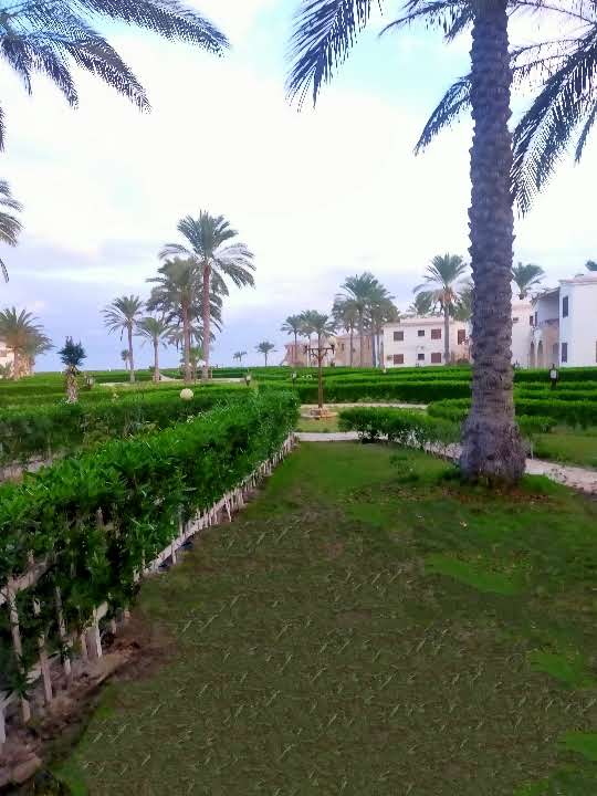 Sinai University photo 8