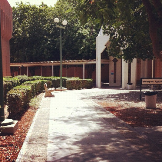 Yanbu University College photo 3