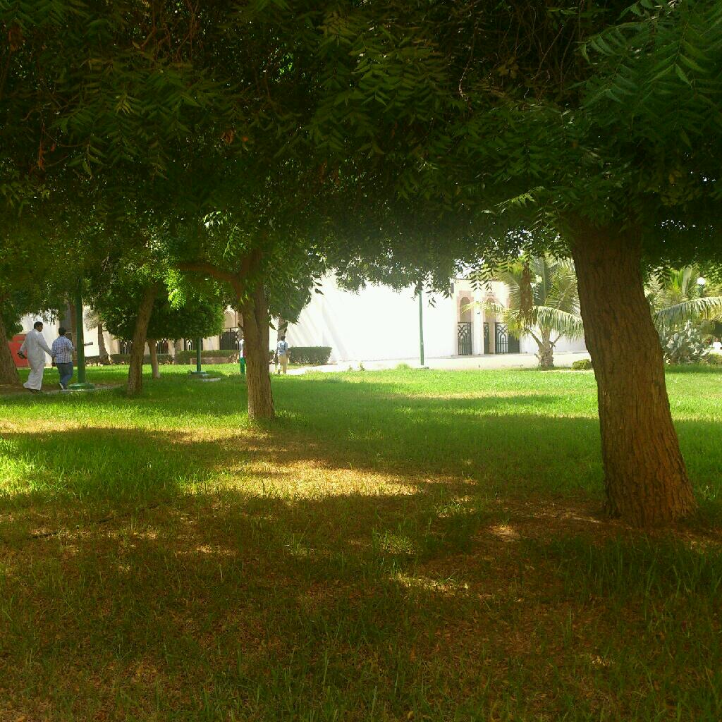 Yanbu University College photo 4