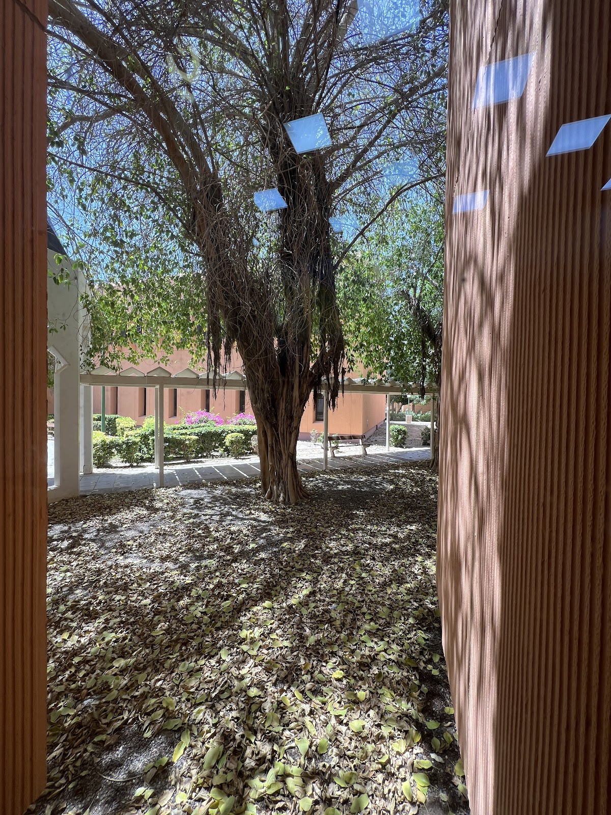 Yanbu University College photo 7