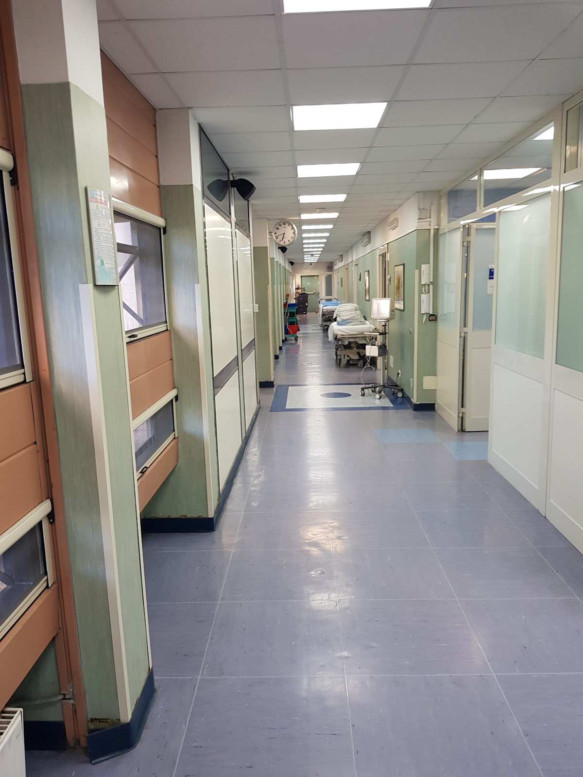 University of Naples Federico II photo 8