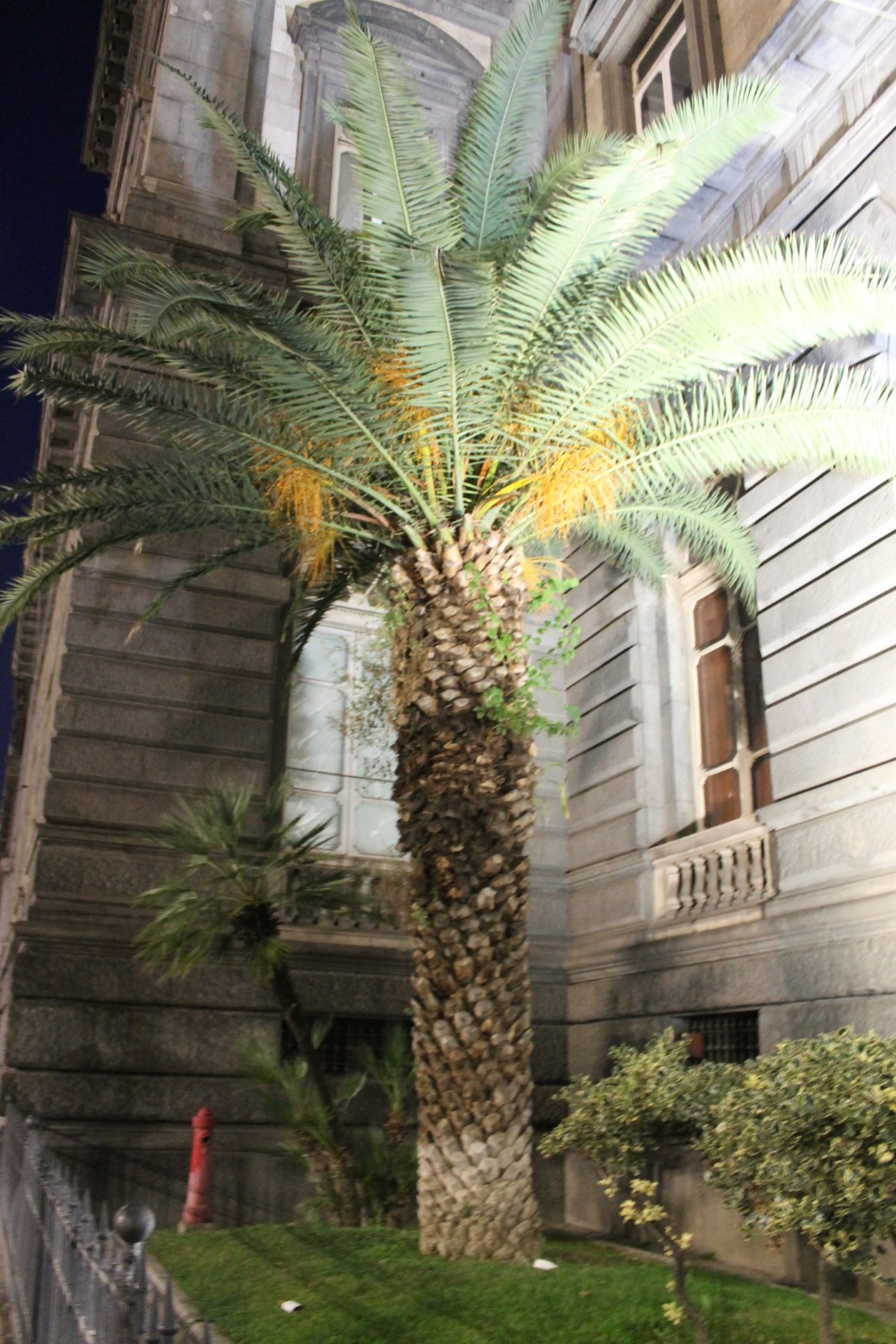 University of Naples Federico II photo 9