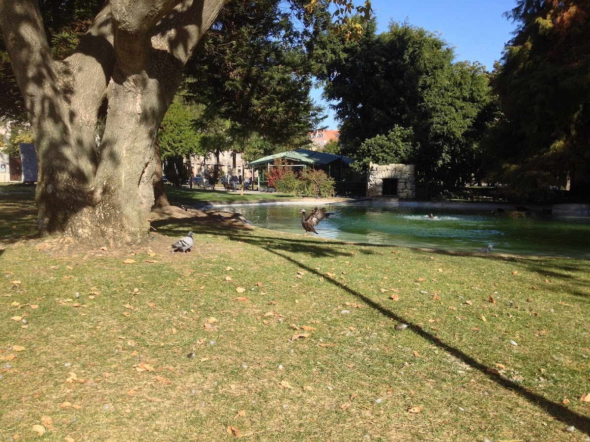 Academia Militar photo 5