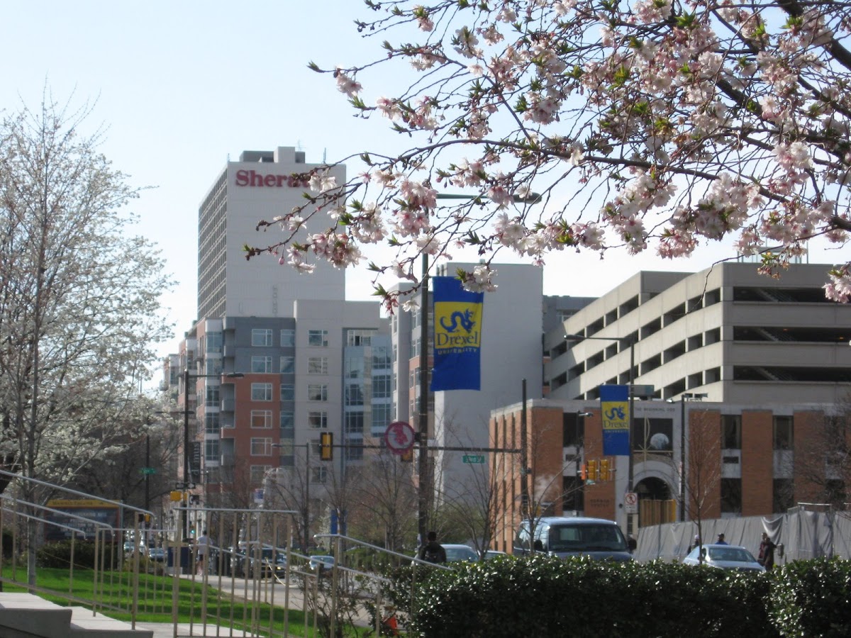 University of 1698 photo 6