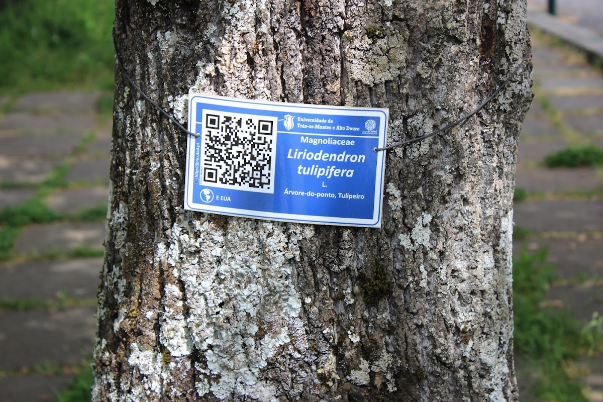 University of Trás-os-Montes and Alto Douro photo 1