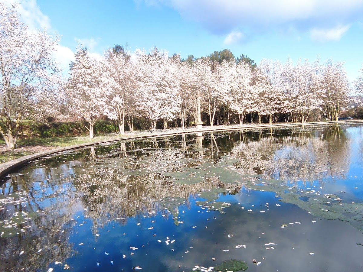 University of Trás-os-Montes and Alto Douro photo 3