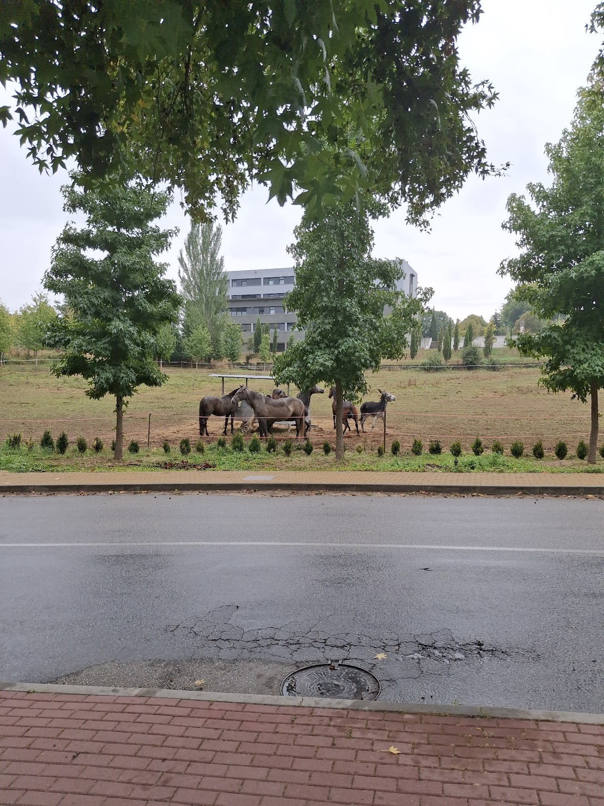 University of Trás-os-Montes and Alto Douro photo 9