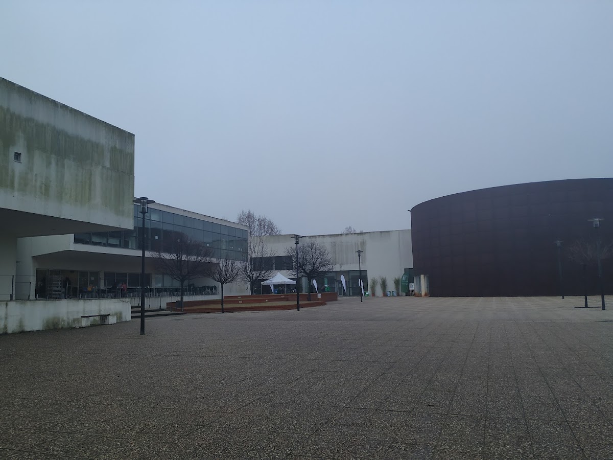 Escola Superior de Tecnologia da Saúde de Lisboa photo 5