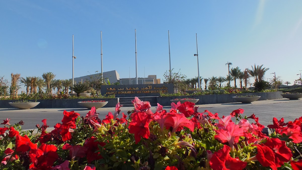 Prince Mohammad Bin Fahd University photo 1
