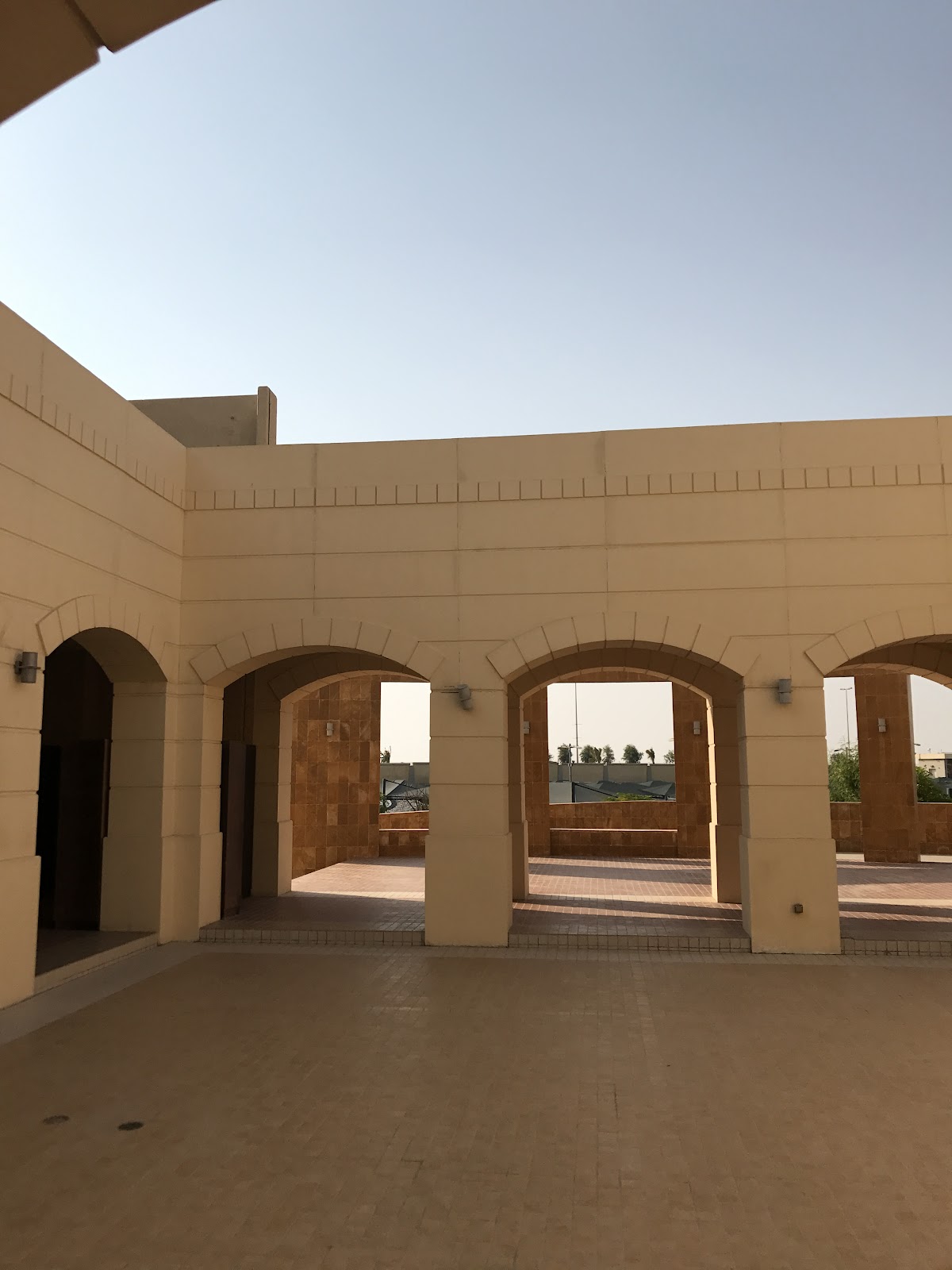 Prince Mohammad Bin Fahd University photo 6