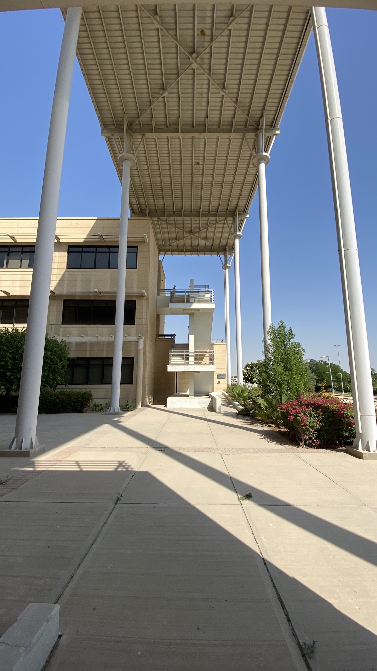 Prince Mohammad Bin Fahd University photo 9