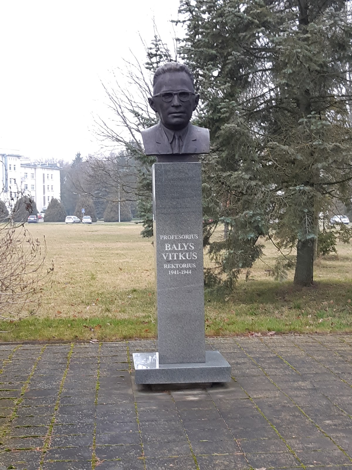 Aleksandras Stulginskis University photo 8