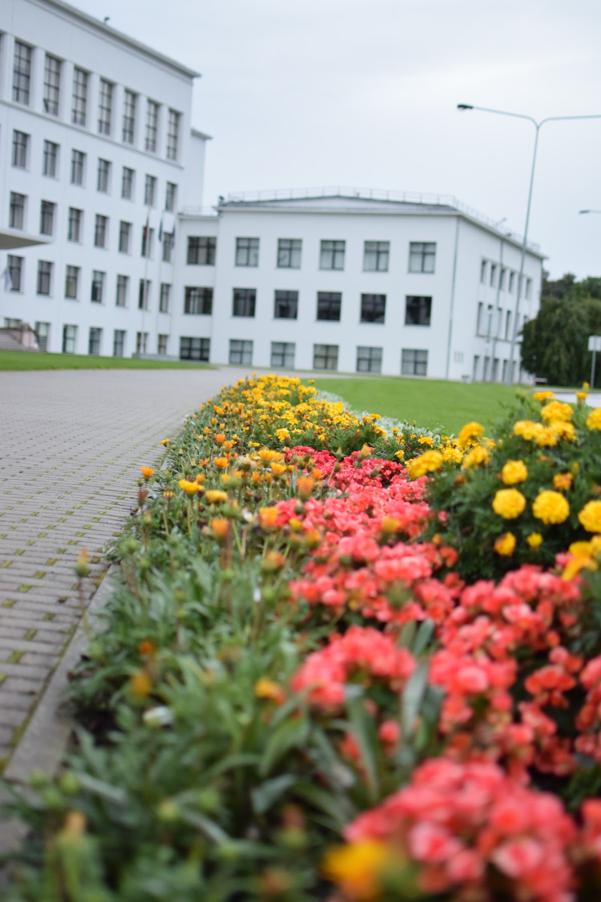 Aleksandras Stulginskis University photo 9